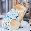 Washable Dog Sanitary Pants, Small, Blue - Hygiene Nappies