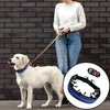 XL Green Dog Training Chain Collar - 60cm, Metal, Durable