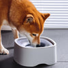 No-Spill Floating Pet Bowl, 1200ml, Purple - Cat & Dog Water Bowl