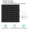LED Plant Light Quantum Board Greenhouse Seedling Plant Growth Supplementary Light Full Spectrum Plant Planting Light, Power: 169 Beads UK Plug
