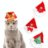 Christmas Tree Pet Hat | Red | Small/Medium Cat/Dog