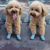 4 PCS / Set Breathable Non-slip Wear-resistant Dog Shoes Pet Supplies, Size: 4.8x5.3cm(Lake Blue)