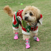 Pink Dog Shoes Breathable Non-Slip, M, Small Dog Boots Paw Protection