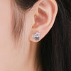 Daisy Flower Sterling Silver Earrings Temperament Female Earrings