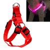 LED Dog & Cat Harness, M, Red - USB Rechargeable