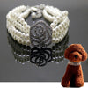 Pearl Rose Flower Dog & Cat Collar, White, Small