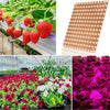 LED Plant Growth Light Indoor Quantum Board Plant Fill Light, Style: D2 25W 81 Beads UK Plug (Pink Purple)