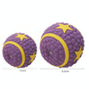 Squeaky Latex Dog Toy Ball - Small | Fun Fetch & Retrieve Play