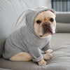 Grey Rabbit Ear Pet Sweatshirt, XL (Dog & Cat)