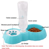 Pet Double Bowl Feeder for Cats & Small Dogs - Blue