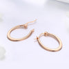 Personality Small Circle Earrings S925 Sterling Silver Female Zircon Earrings