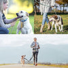 Oxford Cloth Dog Poop Bag Dispenser (Grey/Yellow Zippers)