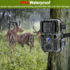 Mini300 Hunting Camera 12MP HD 1080P Tracking Camera