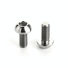 2 PCS Bicycle Accessories Titanium Bottle Cage Screw M5 12mm(Titanium Color)