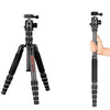 BEXIN BX285C K36 Portable Carbon Fiber Tripod for Dslr Digital DV Camcorder