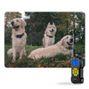 Dog Bark Collar, 800m Remote, Spray, Vibration, Shock, Waterproof