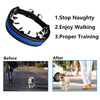 Training Chain Collar, Small (Blue) - Anti-Burst, Dog, 35cm