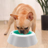 Cooling Pet Bowl, Freezable Dog & Cat Bowl, 17cm