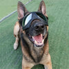 Dog Goggles, UV Protection, Waterproof, Black