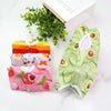 Cat Neutering Recovery Suit, Avocado, Large