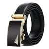 Dandali Casual Men Automatic Buckle Belt Business Soft Leather Pants Band, Length (cm): 115cm(ZD-23)