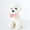 Adjustable Cat & Small Dog Bow Tie Collar, Organza, S (17-32cm)
