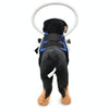 Blind Dog Halo S (Blue) - Anti-Collision Ring for Small Dogs (4-10kg)