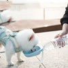 Portable Pet Water Bottle Grey - Dog & Cat Travel Bowl