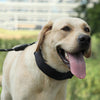 Dog Training Collar with Stimulation Needles, M (50cm)