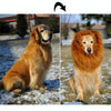Large Dog Lion Mane Wig Costume, White, Fits Neck Up to 70cm