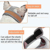Bulldog Muzzle, Breathable, Drinkable, Anti-Bite, Small (Grey/Orange)