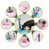 Automatic Pet Feeder & Waterer for Cats & Dogs (Random Colour)