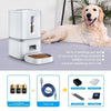 7L Smart Pet Feeder Timed Quantitative Large Window Cat And Dog Food Dispenser, Plug Type: EU Plug