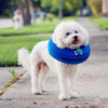 Inflatable Pet Collar, Soft Recovery Cone for Dogs & Cats, Size M