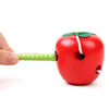 Wooden Learning and Education Children Colorful Worm Eat Fruit Apple Educational Toys