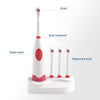 2W Creative Household Waterproof Rotary Electric Toothbrush Set with 4 Replacement Brush Heads & Base, 8500 Revolutions Per Minute(Red)