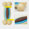 Durable Nylon Dog Chew Toy with Treat Dispenser - Large