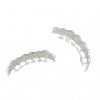 Hip-HopGold-Plated Micro-Inlaid Zircon 8 Gold Braces, Colour: Silver Lower Teeth