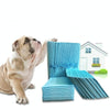 100 Disposable Puppy Pads 33x45cm - Super Absorbent Leakproof