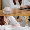 H3 Pink Home Desktop Mini USB Cute Pet Air Humidifier
