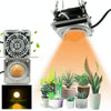 COB Plant Growth Light LED Vegetable Planting Succulent Light, Light:Sunligh(UK Plug 220V)