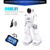 JJR/C R18 Gesture Sensing Remote Control Robot(Silver)