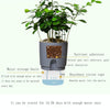 Transparent Plastic Double-Layer Water Storage Automatic Water-Absorbing Flowerpot, Size: A707 Caliber 15.3cm(White Transparent Basin)