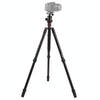 Triopo MT-2804C Adjustable Portable Aluminum Tripod (Gold) with NB-2S Ball Head (Black) for Canon Nikon Sony DSLR Camera