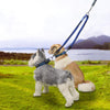 Small Dog Double Retractable Lead, Reflective, 65-125cm (Random Colour)