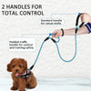 Reflective Double Handle Dog Lead - Nylon, Blue, 180cm