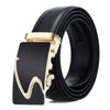 Dandali Casual Men Automatic Buckle Belt Business Soft Leather Pants Band, Length (cm): 125cm(ZD-21)