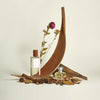 20-32 cm Cocoa Leaves Natural Plant Shooting Props Dry Flower Ornaments