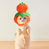 Plush Gourd Pet Hat | Dog & Cat Costume | Halloween & Christmas