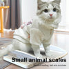Mini Pet Scale Baking Kitchen Electronic Scale, Specification: 10kg/1g(White)